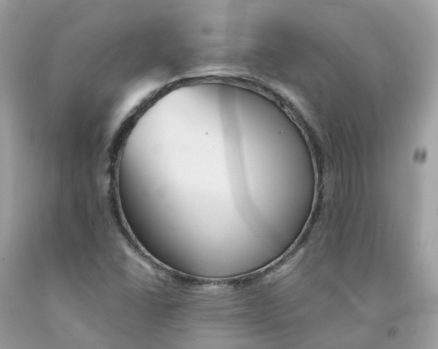 X0000091541406200709141446