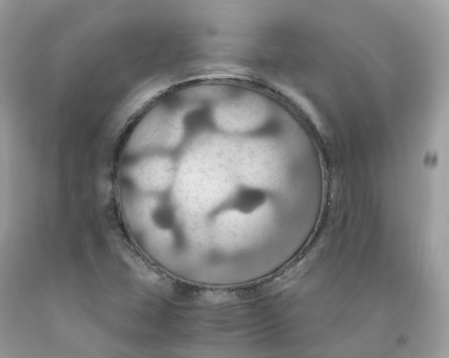 X0000091541407200709141446