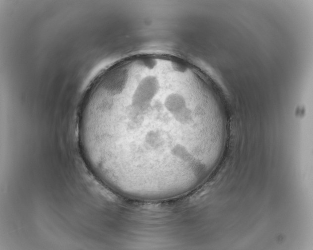 X0000091541408200709141446