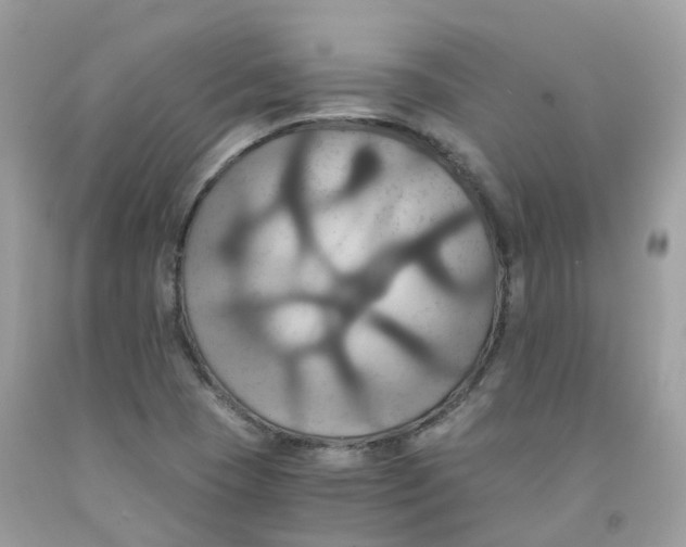 X0000091541409200709141446