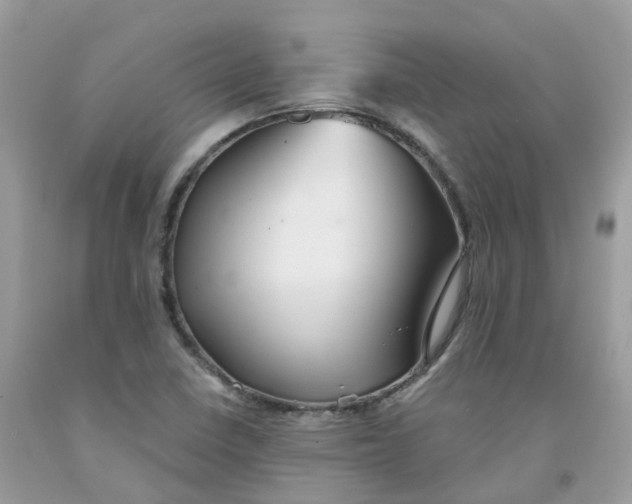 X0000091541410200709141447