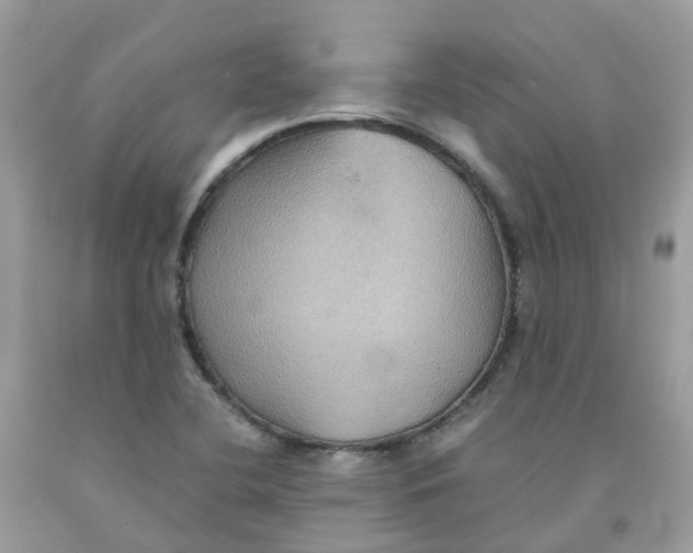 X0000091541412200709141447