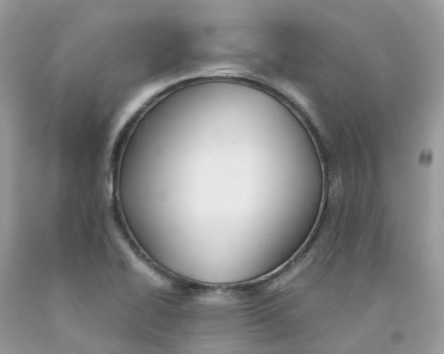 X0000091541414200709141447