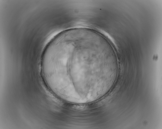 X0000091541415200709141447