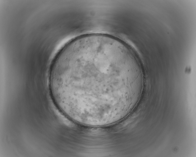 X0000091541416200709141447