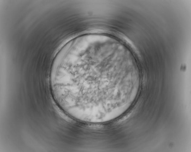 X0000091541417200709141447