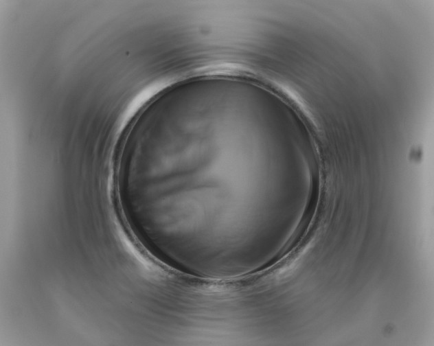 X0000091541418200709141447