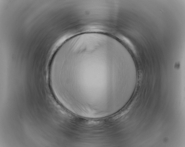 X0000091541419200709141447