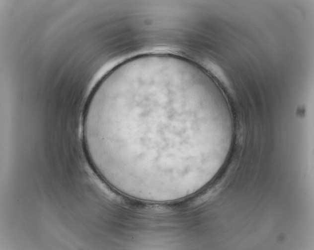 X0000091541420200709141447