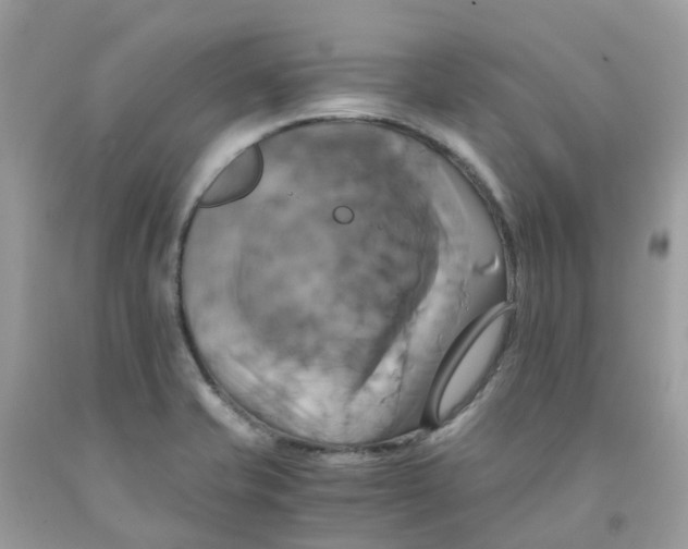 X0000091541421200709141447