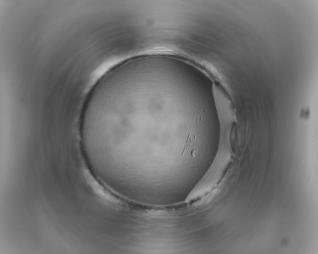 X0000091541422200709141447