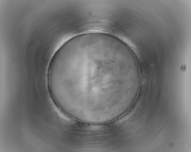 X0000091541423200709141447