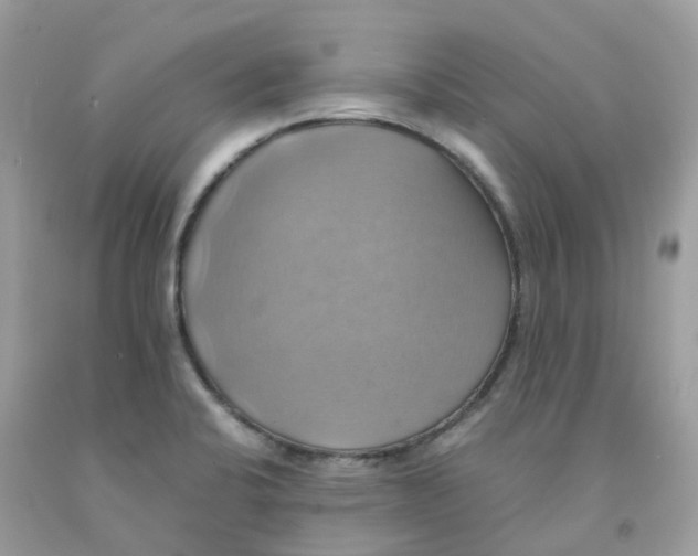 X0000091541424200709141447