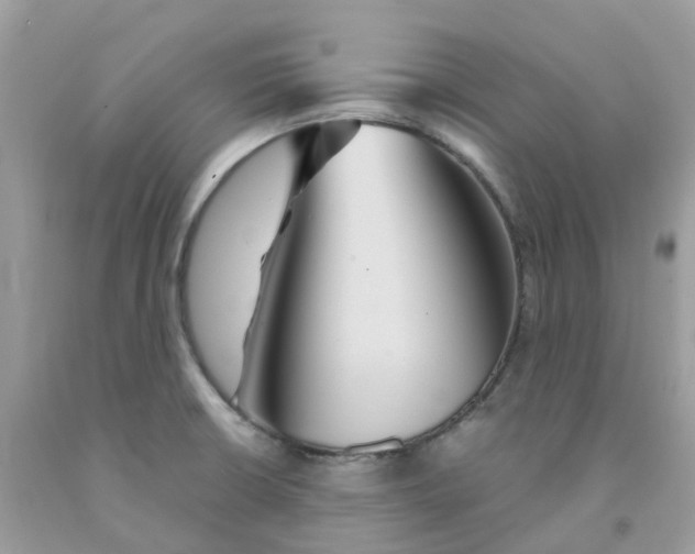 X0000091541426200709141447