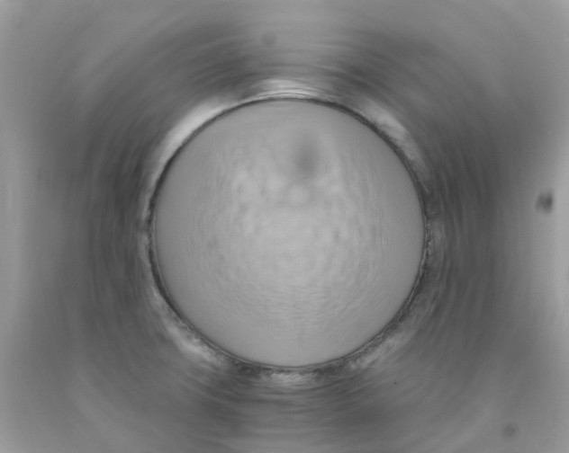 X0000091541427200709141447