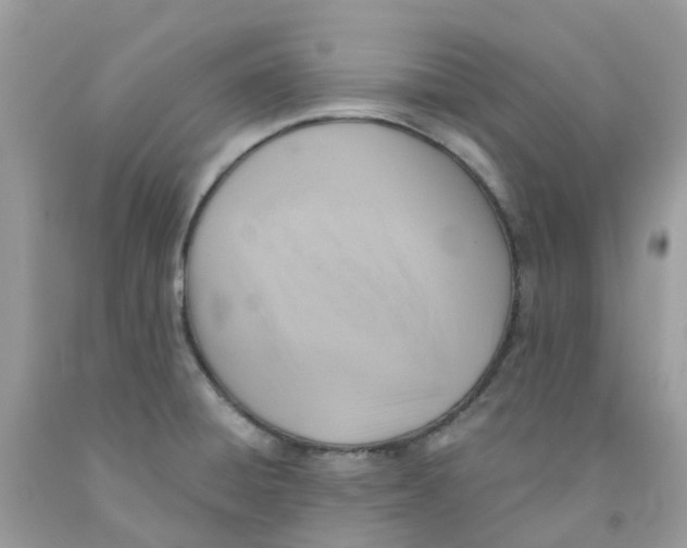 X0000091541428200709141447