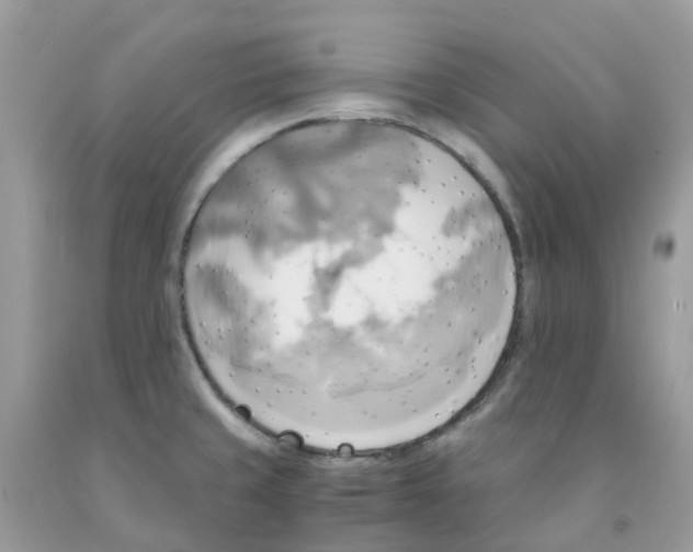 X0000091541429200709141447