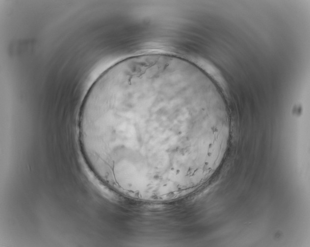 X0000091541431200709141447