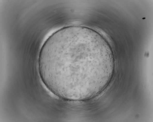 X0000091541432200709141447