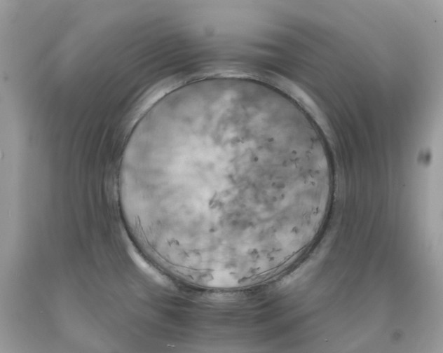 X0000091541433200709141447