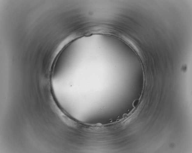 X0000091541434200709141447