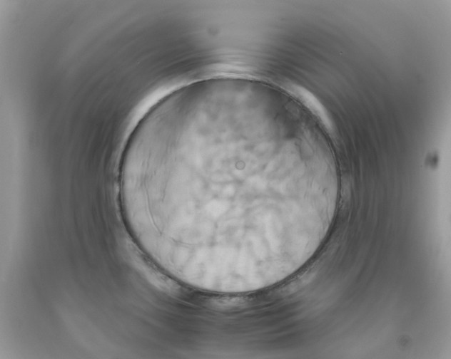 X0000091541435200709141447