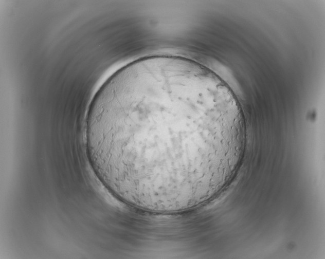 X0000091541436200709141447