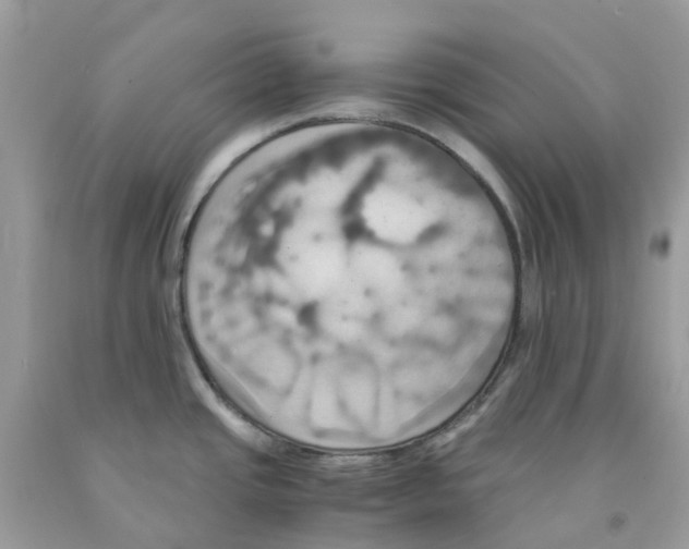 X0000091541437200709141447