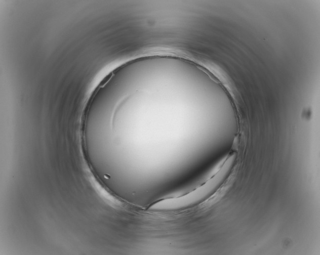 X0000091541438200709141447