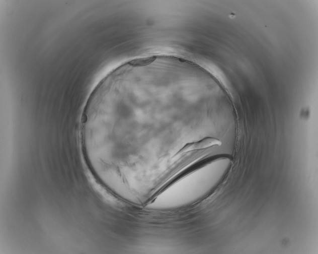 X0000091541439200709141447