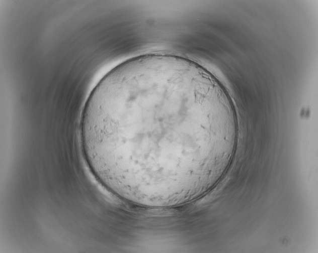 X0000091541440200709141447