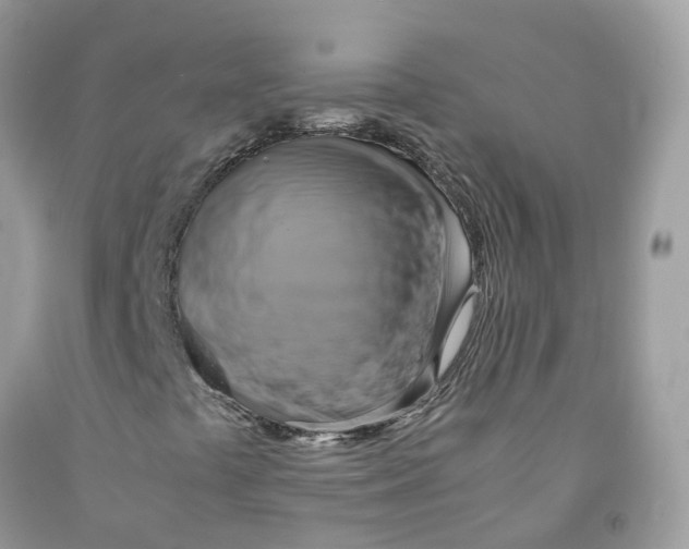 X0000091541441200709141446