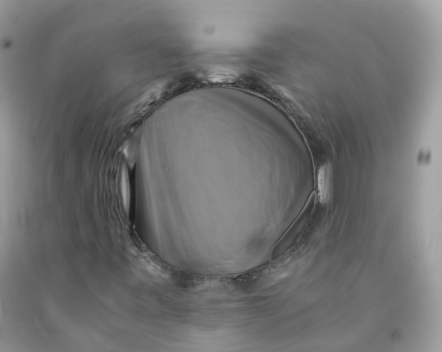 X0000091541443200709141446