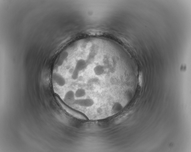 X0000091541444200709141446