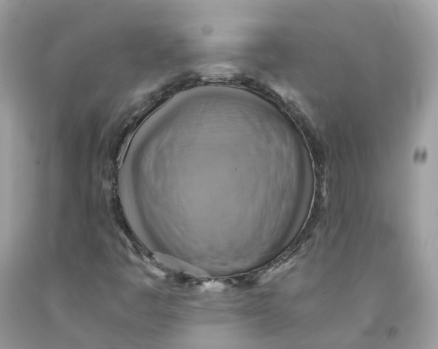 X0000091541445200709141446