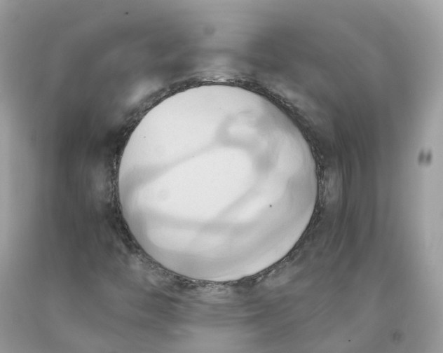 X0000091541446200709141446