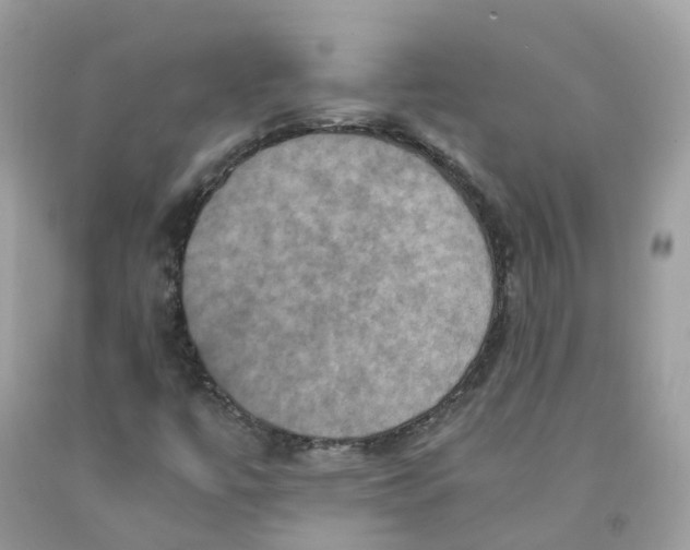 X0000091541447200709141446