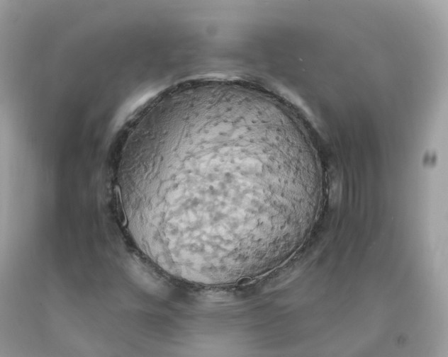 X0000091541448200709141446