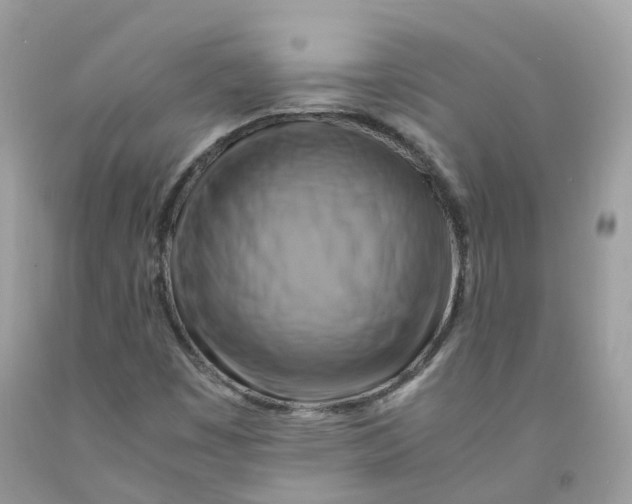 X0000091541449200709141446