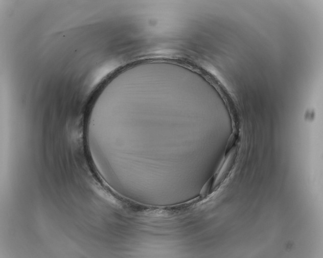 X0000091541450200709141446