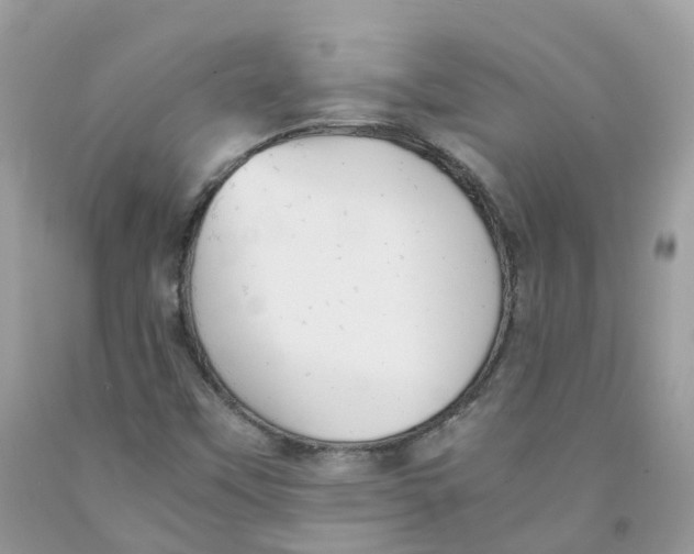 X0000091541451200709141446