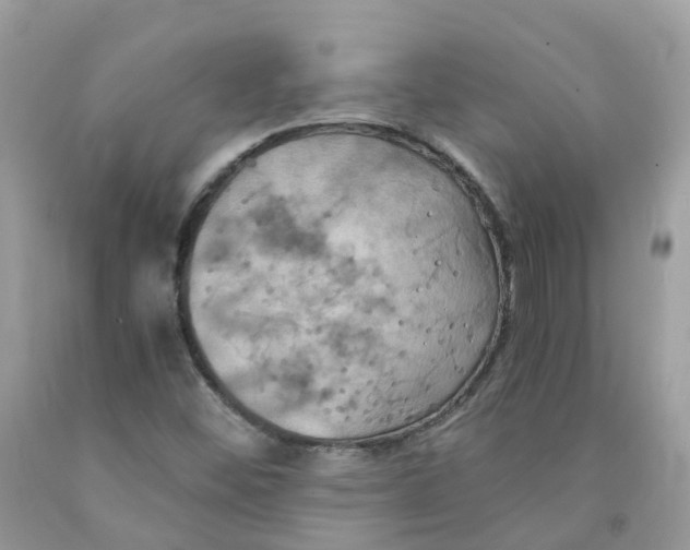 X0000091541452200709141446