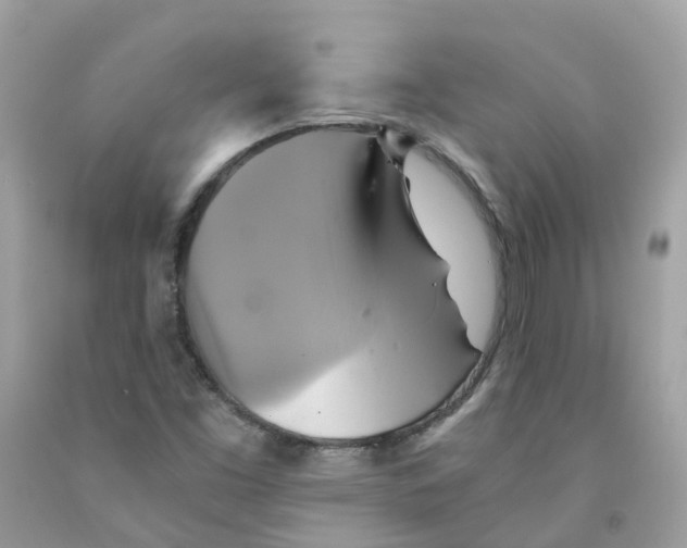 X0000091541453200709141446