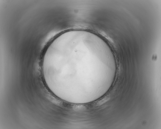 X0000091541454200709141446