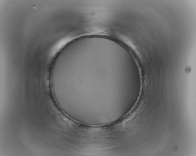 X0000091541455200709141446