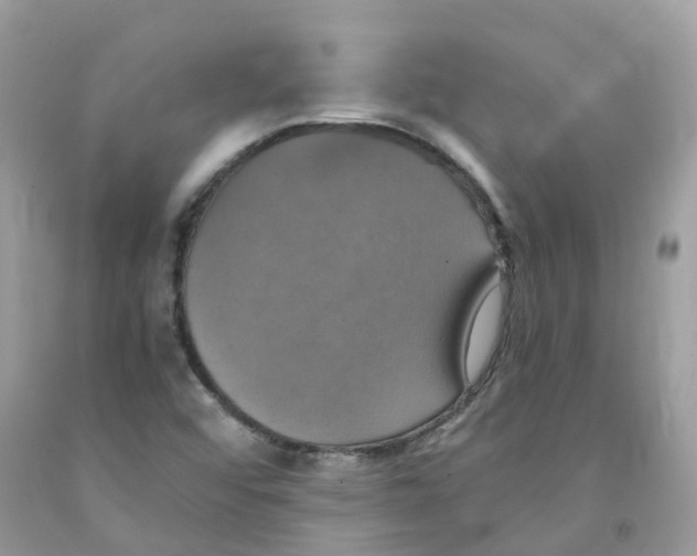 X0000091541456200709141446