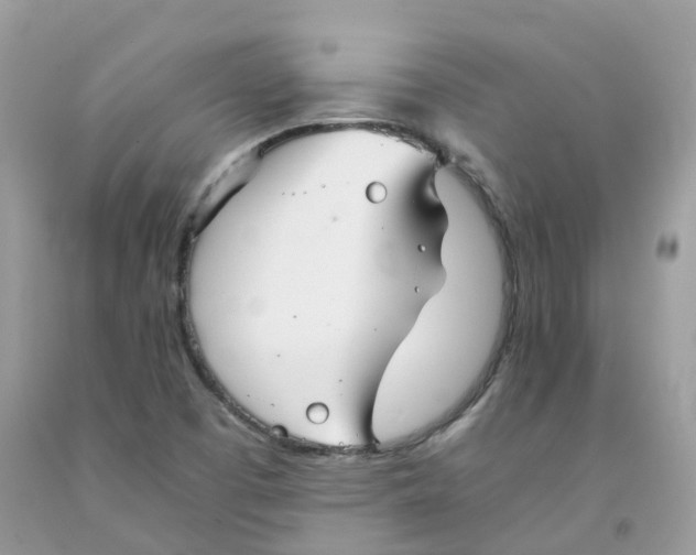 X0000091541457200709141446