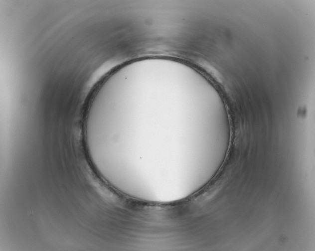 X0000091541458200709141446