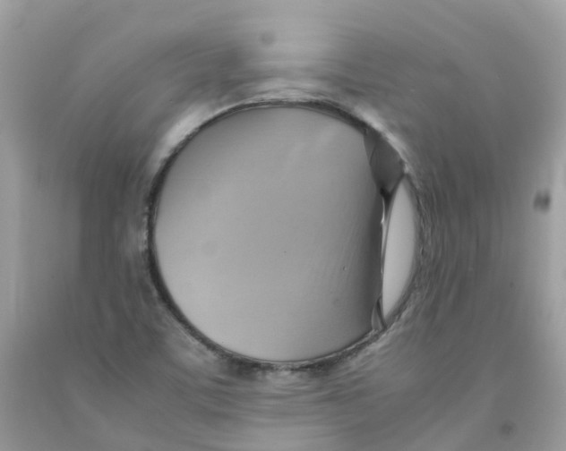 X0000091541459200709141446