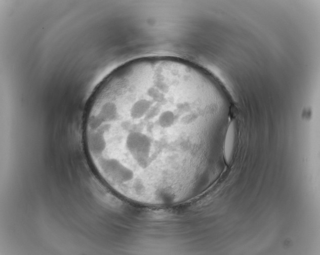 X0000091541460200709141446